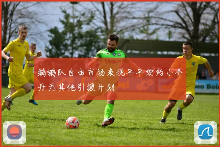 鹈鹕队自由市场表现平平续约小乔丹无其他引援计划