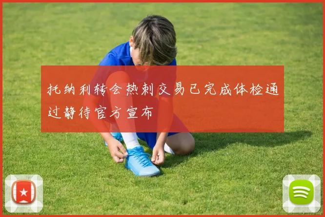托纳利转会热刺交易已完成体检通过静待官方宣布