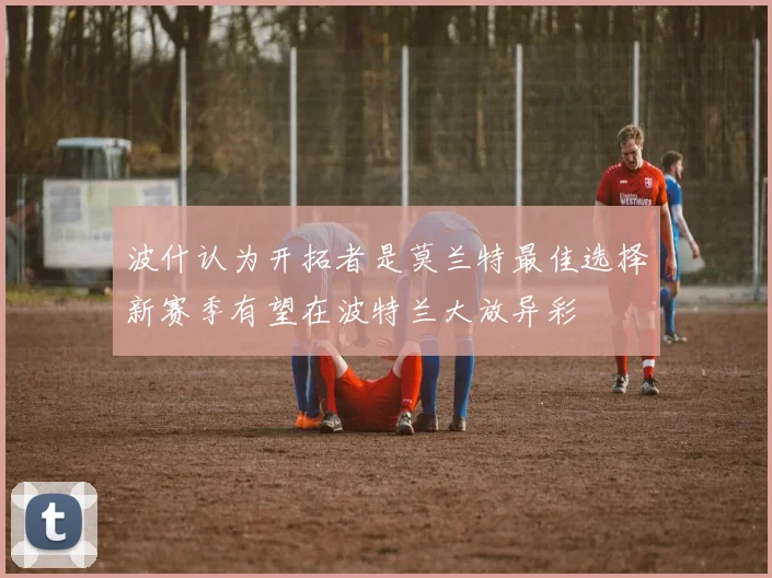 波什认为开拓者是莫兰特最佳选择新赛季有望在波特兰大放异彩
